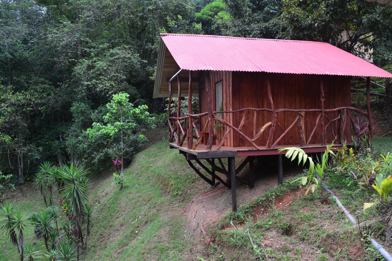 Cabinas Y Restaurante Tilapias La Cascada Hotel Ojochal Exterior photo